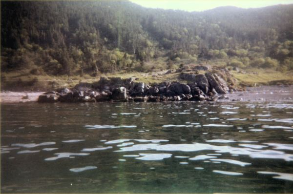 569: Red Island. "Wild Cove beach". (2000) [courtesy of Madonna (Bishop) Mulrooney]